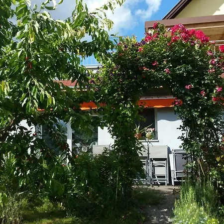 Apartment Joli Proche Strasbourg