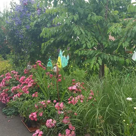 Appartement Joli Proche Strasbourg