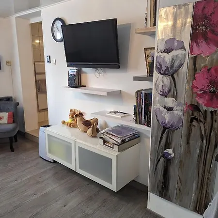 Joli Proche Strasbourg Breuschwickersheim