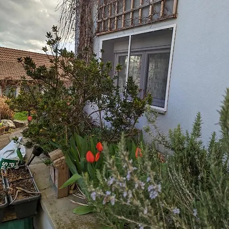 Joli Proche Strasbourg Apartment Breuschwickersheim