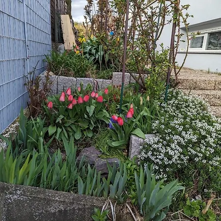 Joli Proche Strasbourg Apartment Breuschwickersheim