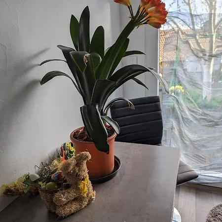 Joli Proche Strasbourg Apartment