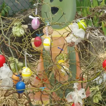 Joli Proche Strasbourg Lägenhet