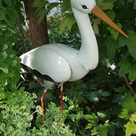 Joli Proche Strasbourg * Breuschwickersheim