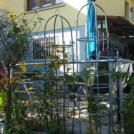 Joli Proche Strasbourg *