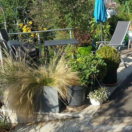 Joli Proche Strasbourg Breuschwickersheim