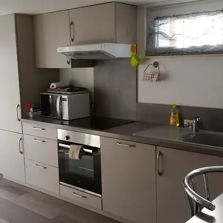 Joli Proche Strasbourg Appartement Breuschwickersheim