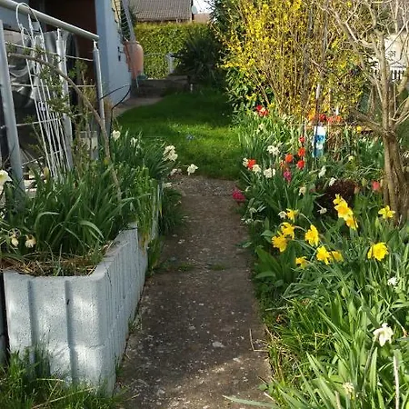 Joli Proche Strasbourg * Breuschwickersheim