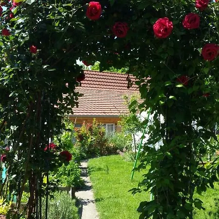 Joli Proche Strasbourg * Breuschwickersheim