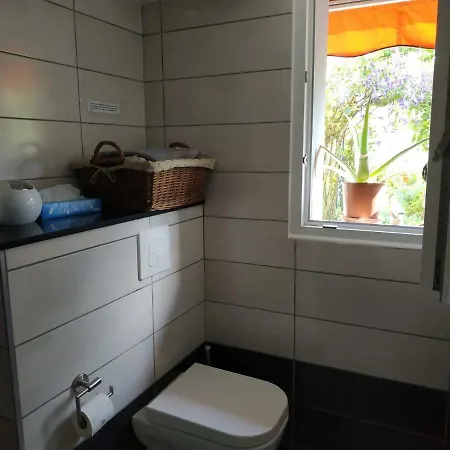 Joli Proche Strasbourg Appartement Breuschwickersheim