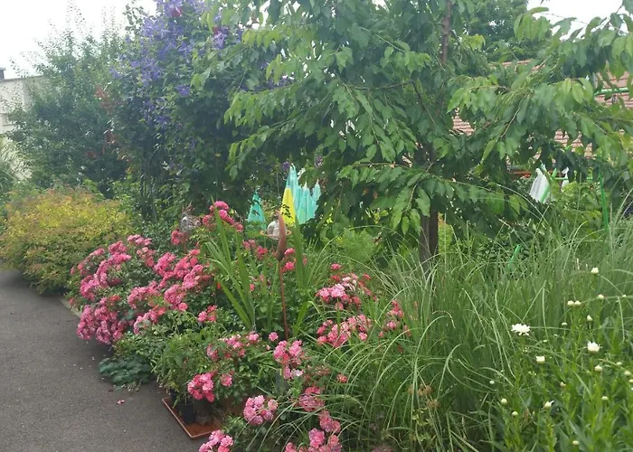 アパート Joli Proche Strasbourg