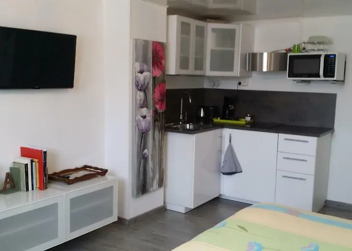 Appartement Joli Proche Strasbourg
