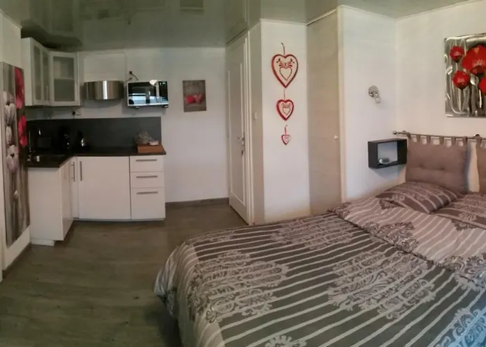 アパート Joli Proche Strasbourg