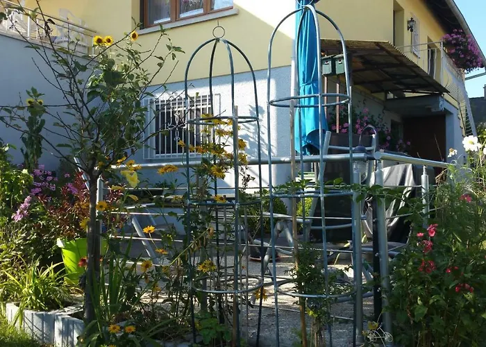 Joli Proche Strasbourg *