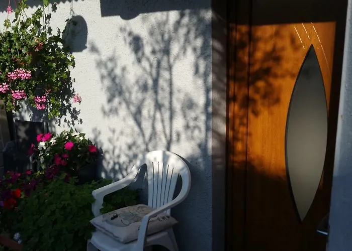 Joli Proche Strasbourg