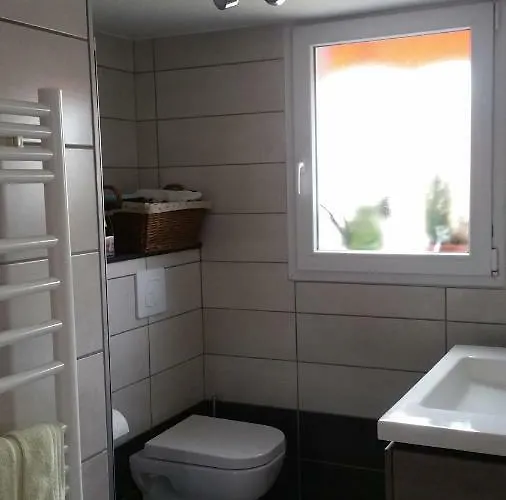 Joli Proche Strasbourg アパート