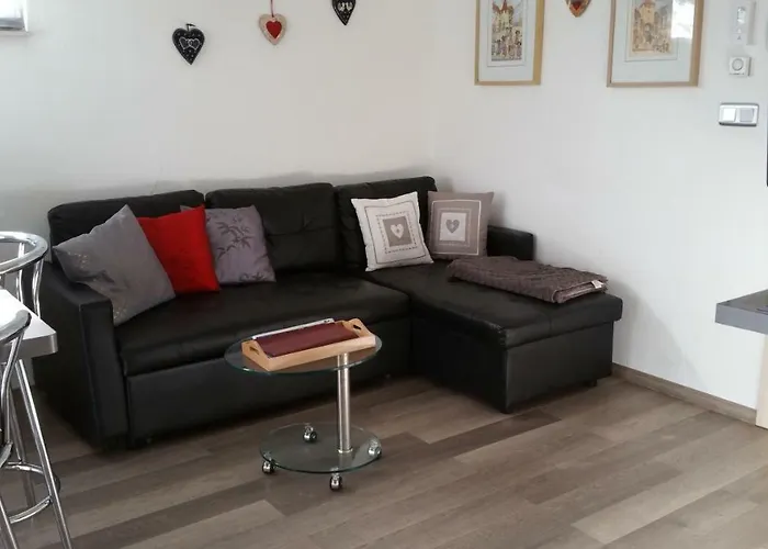 Joli Proche Strasbourg *