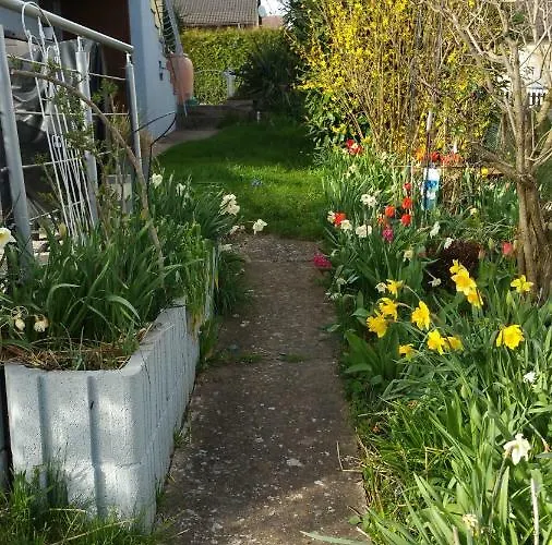 Joli Proche Strasbourg * Breuschwickersheim