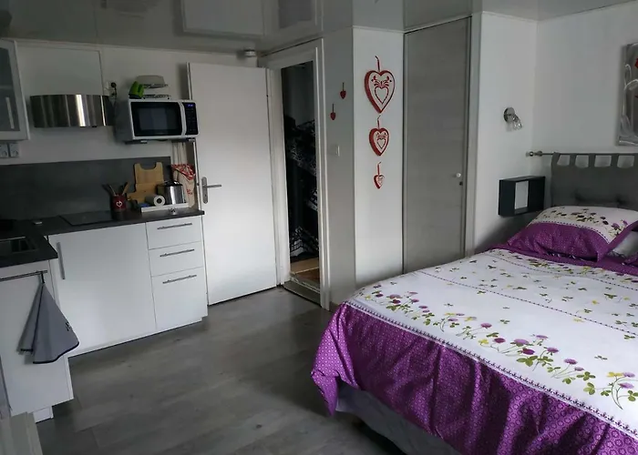 Joli Proche Strasbourg *