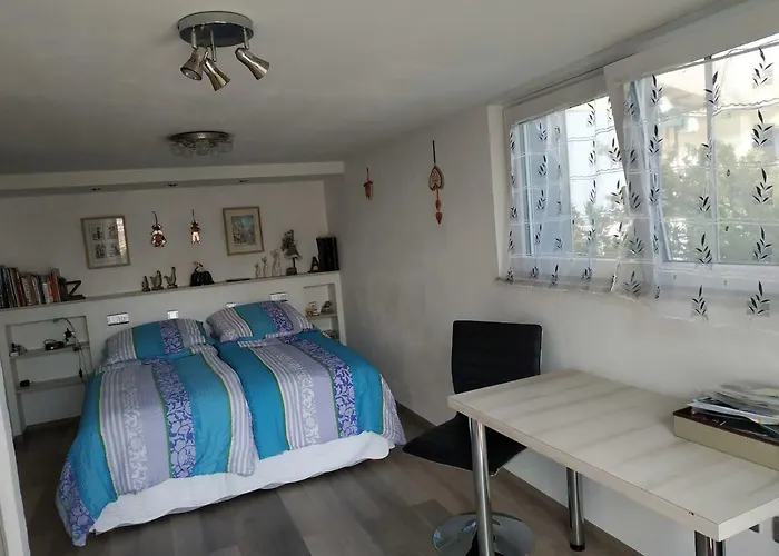 Joli Proche Strasbourg Appartement Breuschwickersheim