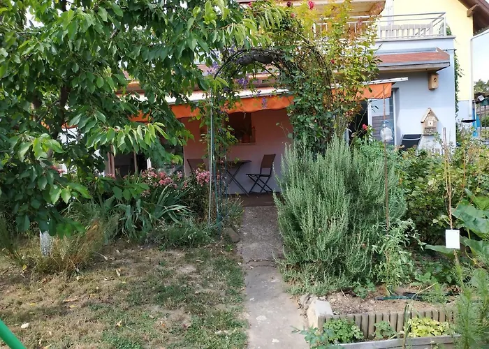 Joli Proche Strasbourg Appartement *