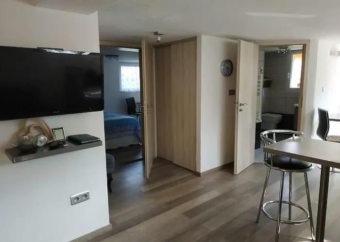 アパート Joli Proche Strasbourg *